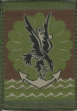 INSIGNE TISSU, PATCH MILITAIRE