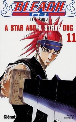 Bleach tome - bleach, 11