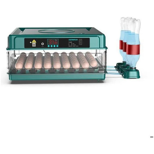 Couveuse automatique oeufs - couveuse,