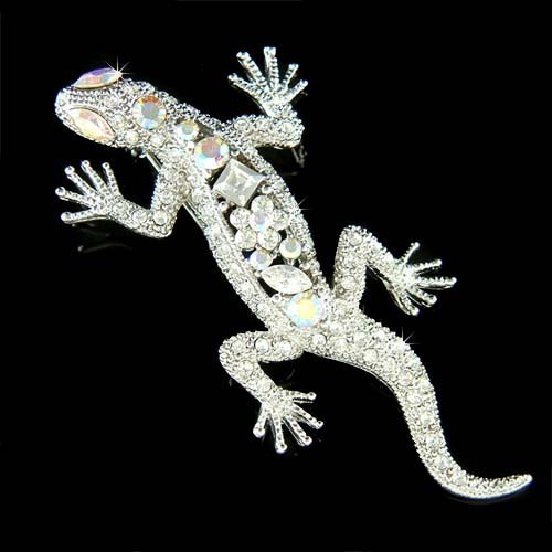 Iguane lézard reptile - iguane,