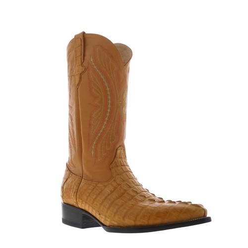 Ferrini caiman tail - caiman,