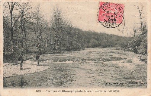 Champagnole anguillon - l,