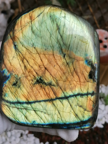 Labradorite polie 1021 gr - polie, –