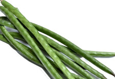 Haricot de bora indien Haricot