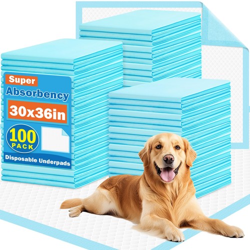 100 400pack x36 extra - 100-400pack,