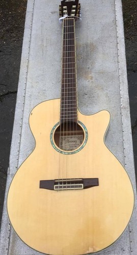 Guitare electro ibanez - electro,