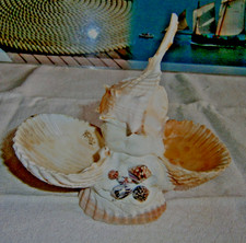 souvenir vacances à la mer