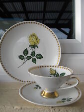 TASSE DE COLLECTION BAVARIA  ROSE JAUNE + DORURE OR MAT