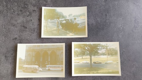 Polaroid lot photo - lot,