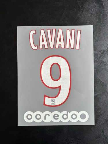 Flocage psg 2019 2020 cavani - flocage, 2019/2020