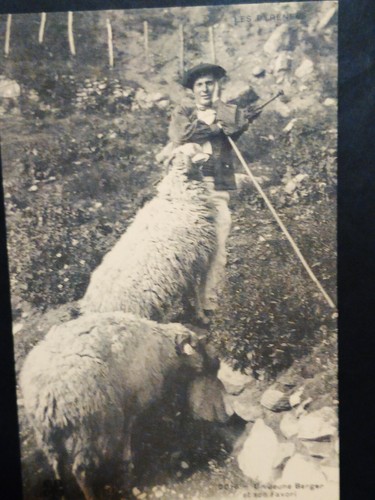 Les pyrénées un - un, jeune