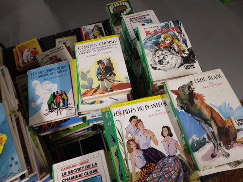 Lot livres bibliothèque - 30,
