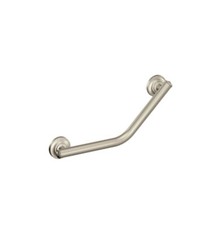 Moen RA8716D1GBN Home Care 16"