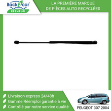 ? VERIN DROIT HAYON PEUGEOT 307 BREAK 02-05 ➤8731F8 ?