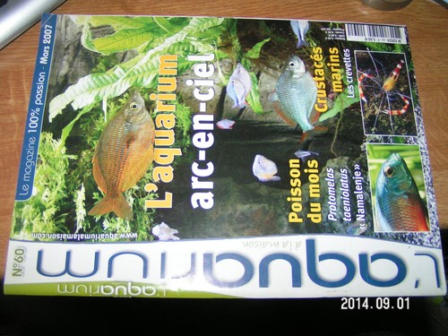 Aquarium maison n - à,