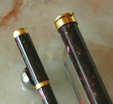 RAVISSANT STYLO PLUME WATERMAN