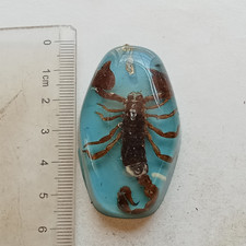 REAL SCORPION FOSSIL KEYCHAIN
