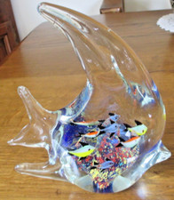 Magnifique Aquarium Poisson