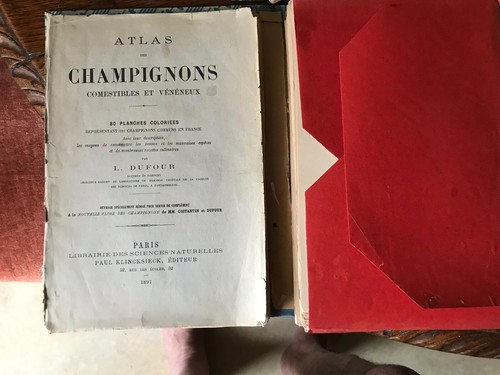 Atlas des champignons