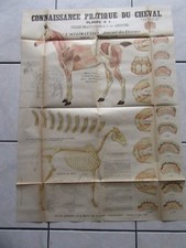  GRANDE AFFICHE ORIGINALE 1895