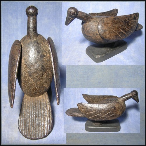 Oiseau lobi burkina africantic - oiseau,