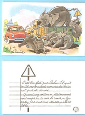RAYLAMBERT   carte bon point SECURITE ROUTIERE  animaux BD élephants et voiture