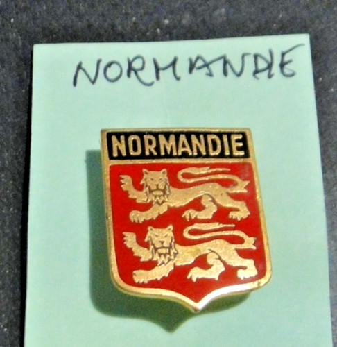 Ecusson blason broche - blason, métal