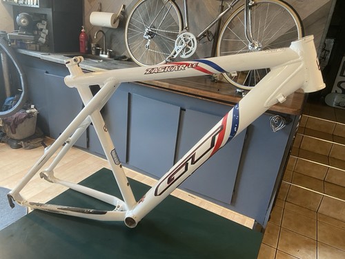 Zaskar frame - le,