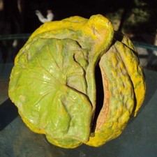 ancienne tirelire a casser en terre cuite en forme de courge 
