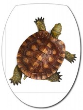 Sticker Abattant WC Tortue