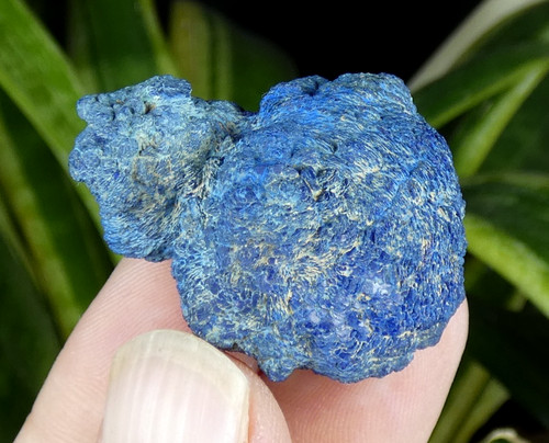 Nodule chessylite - de, (azurite)