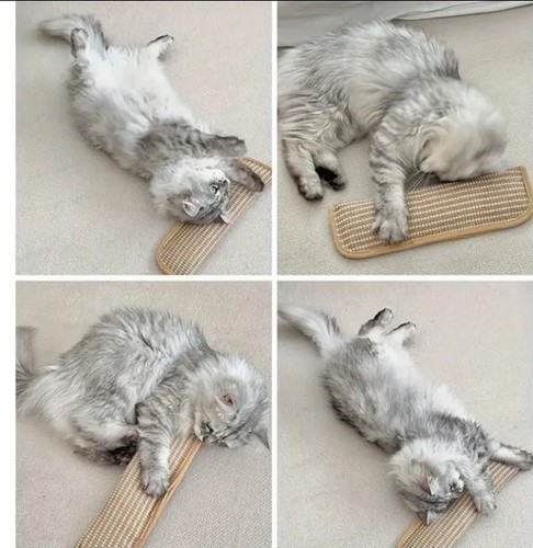 Tapis gratter sisal pour - tapis,