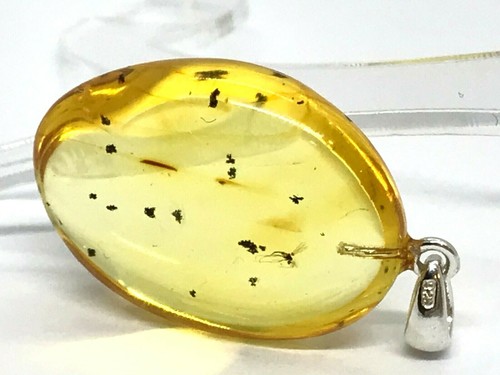 Pendentif ambre petit insecte - pendentif,
