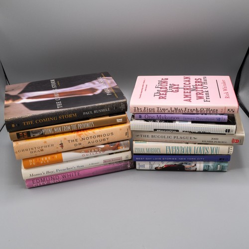 Gay novels erotica - novels,