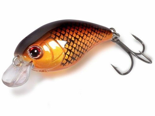 Quantum magic trout hustle - quantum,