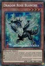 Yu-Gi-Oh! Dragon Rose Blanche : STAR MP25-FR038
