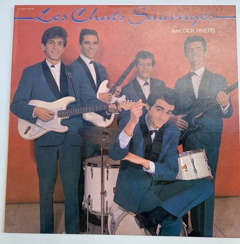 Les chats sauvages avec - sauvages,
