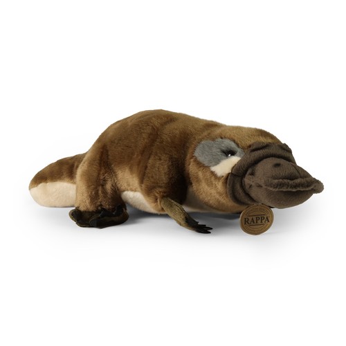 Peluche ornithorynque cm - peluche,