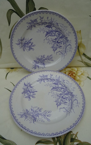 Maastricht faience terre - terre, de