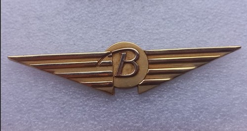 Eb310 pin ailes belair - pin's,
