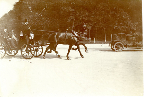 Calèche attelage voiture - calèche,, attelage,