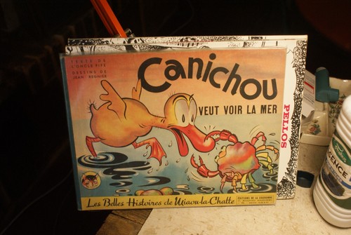 Miaou chatte canichou veut - chatte,