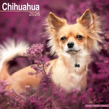Calendrier 2026 - CHIHUAHUA