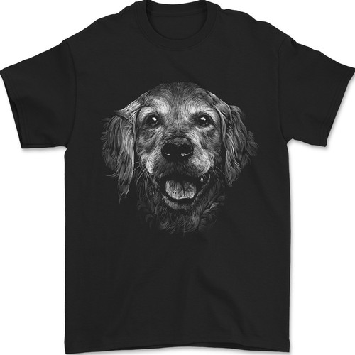 Golden retriever visage - retriever,