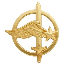 Insigne de béret neuve des