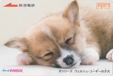 Carte JAPON - ANIMAL - CHIEN Chiot - WELSH CORGI - PUPPY DOG JAPAN Kansai card