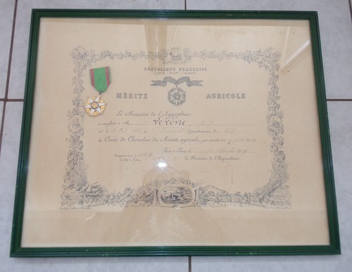 Diplôme médaille croix - diplôme,