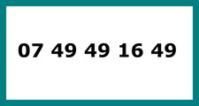 ?Numéro de téléphone mobile ( facile - pro - vip )?