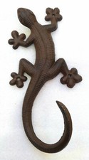 Salamandre fonte en - en,