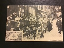 Reproduction Lille Attelage de Chiens.